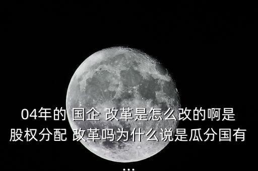 04年的 國企 改革是怎么改的啊是股權(quán)分配 改革嗎為什么說是瓜分國有...