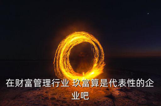 在財(cái)富管理行業(yè) 玖富算是代表性的企業(yè)吧