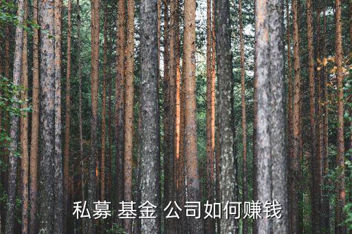  私募 基金 公司如何賺錢