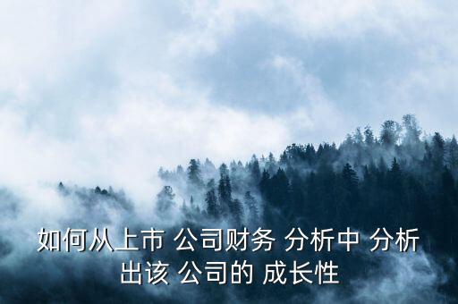 如何從上市 公司財(cái)務(wù) 分析中 分析出該 公司的 成長(zhǎng)性