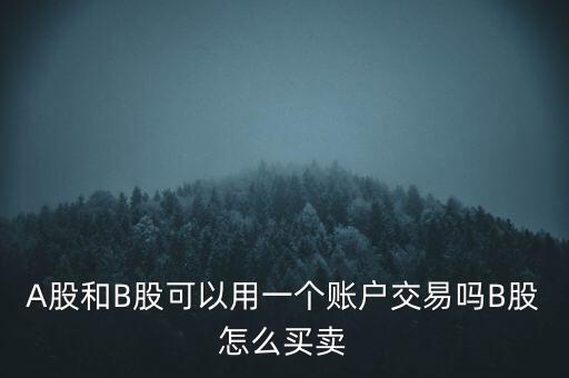 A股和B股可以用一個賬戶交易嗎B股怎么買賣