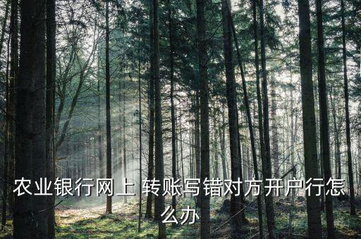 農(nóng)行轉(zhuǎn)賬錯(cuò)誤怎么辦,銀行網(wǎng)上轉(zhuǎn)賬打錯(cuò)對(duì)方銀行有兩種結(jié)果