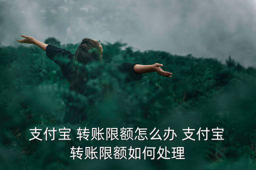 支付寶轉(zhuǎn)賬超額怎么辦,支付寶賬戶余額寶支付暫無支付限額