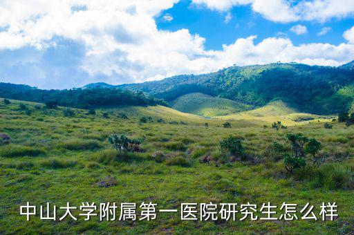 中山一院大?房怎么樣,中山大學(xué)第一附屬醫(yī)院廣州分院