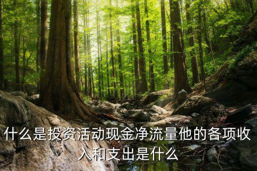 什么是投資活動現(xiàn)金凈流量他的各項收入和支出是什么