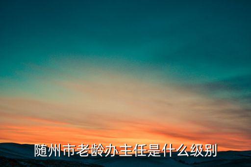 全國(guó)老齡辦副主任什么級(jí)別，全國(guó)老齡委辦公室副主任 什么級(jí)別