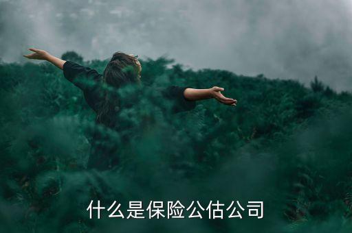 什么是承保公估，保險(xiǎn)中的公估是什么概念