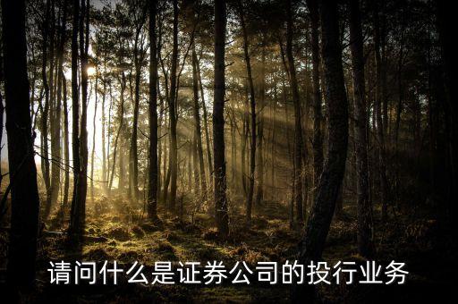 什么是類投行業(yè)務，請問什么是證券公司的投行業(yè)務