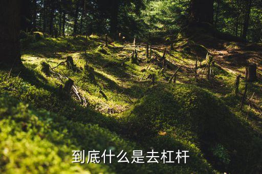 什么是去杠桿去產(chǎn)能，到底什么是去杠桿