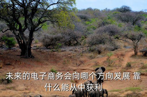 未來電商什么會(huì)掙錢，未來的電子商務(wù)會(huì)向哪個(gè)方向發(fā)展 靠什么能從中獲利