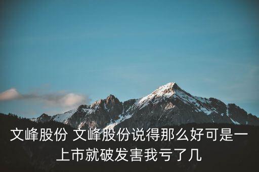 文峰股份是什么公司，文峰股份怎么樣