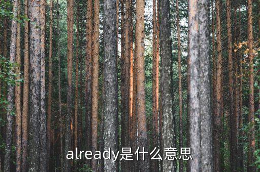 already是什么意思