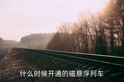 什么時候開通的磁懸浮列車