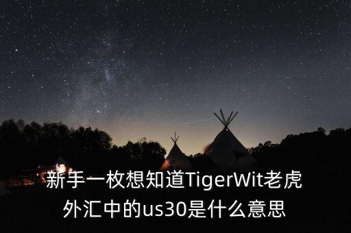 新手一枚想知道TigerWit老虎外匯中的us30是什么意思