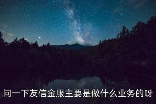 問(wèn)一下友信金服主要是做什么業(yè)務(wù)的呀