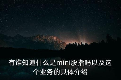 有誰知道什么是mini股指嗎以及這個(gè)業(yè)務(wù)的具體介紹