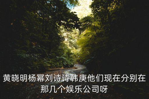 黃曉明楊冪劉詩詩韓庚他們現(xiàn)在分別在那幾個(gè)娛樂公司呀