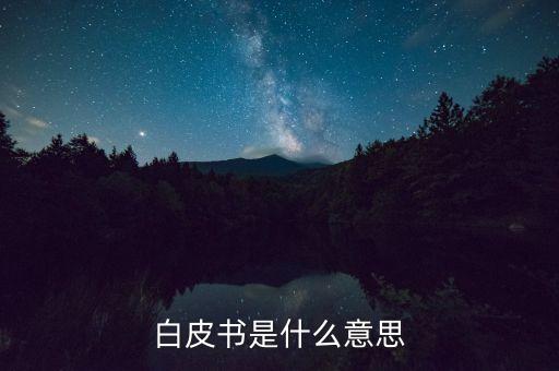 白皮書(shū)是什么意思