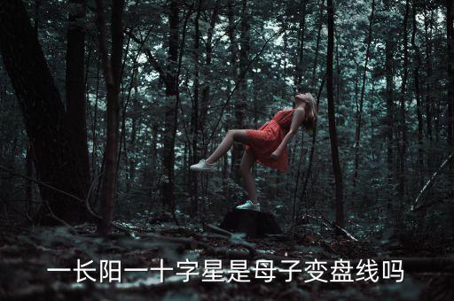 一長(zhǎng)陽一十字星是母子變盤線嗎