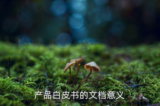 產(chǎn)品白皮書(shū)的文檔意義