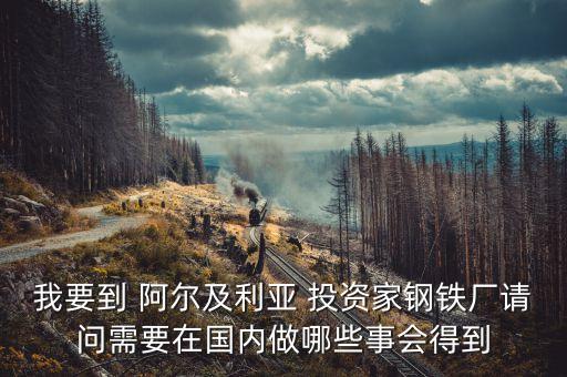 阿爾及爾投資什么好，本人打算去非洲做生意 都需要準(zhǔn)備些什么