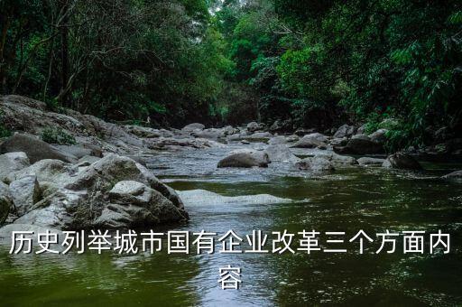 地方國(guó)企改革什么，國(guó)企改革到底要改什么東西啊簡(jiǎn)單點(diǎn)的回答就好