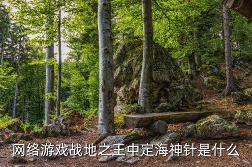 網(wǎng)絡游戲戰(zhàn)地之王中定海神針是什么