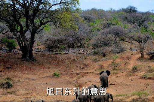 旭曰東升的意思