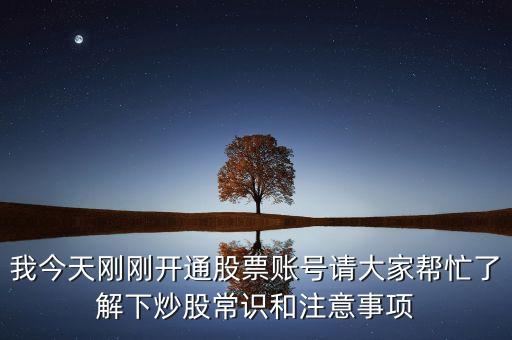 主力羅盤是什么意思，新手如何炒股