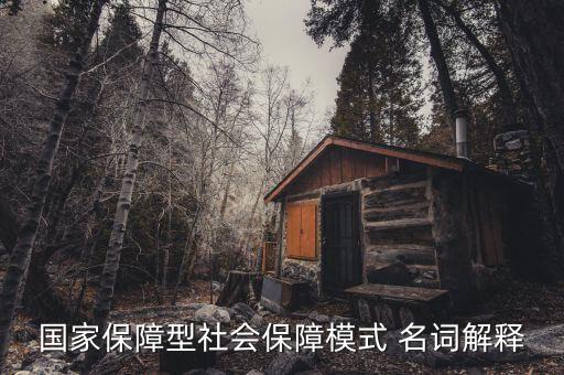 保障型保險什么意思，國家保障型社會保障模式 名詞解釋