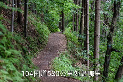 104國(guó)道580公里處是哪里