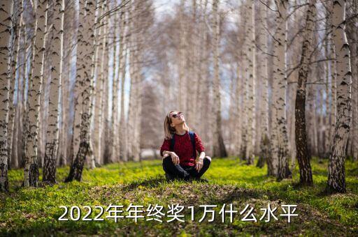 2022年年終獎(jiǎng)1萬(wàn)什么水平