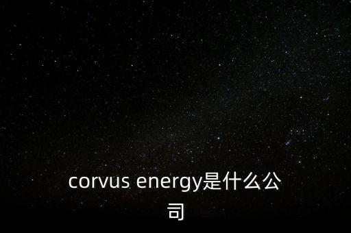 智慧松德是什么公司，corvus energy是什么公司