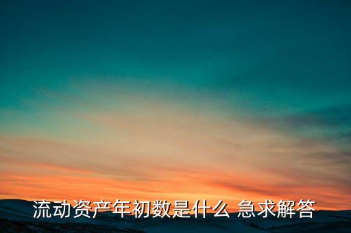 流動資產(chǎn)年初數(shù)是什么 急求解答