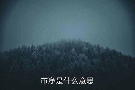 什么叫市凈率，什么是市凈率和市盈率