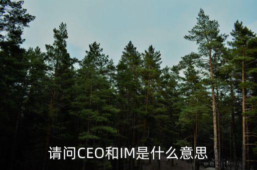 光大富尊IM是是什么，請(qǐng)問CEO和IM是什么意思