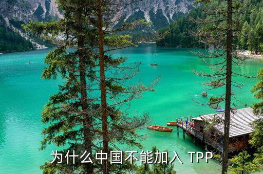 中國加入不了tpp的原因是什么，為什么中國不能加入 TPP