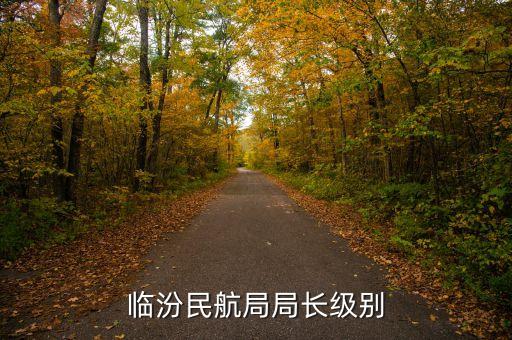 民航總局老干部局局長(zhǎng)是什么級(jí)別，臨汾民航局局長(zhǎng)級(jí)別