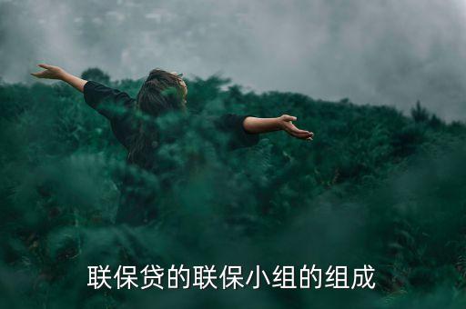 貸款中小組聯(lián)保特征是什么，聯(lián)保貸的聯(lián)保小組的組成