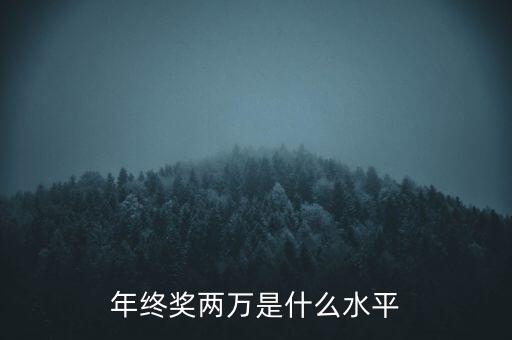 年終獎(jiǎng)10000什么水平，月薪1700年終獎(jiǎng)一萬算什么水平