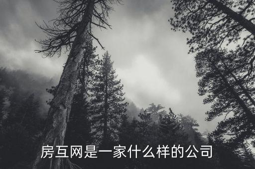 陽江龍貸是一間什么公司，另外還有一個(gè)騙了6千多是一間詐騙公司來的