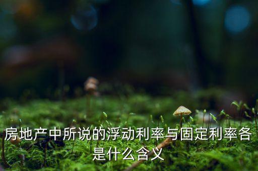 房地產(chǎn)中所說(shuō)的浮動(dòng)利率與固定利率各是什么含義