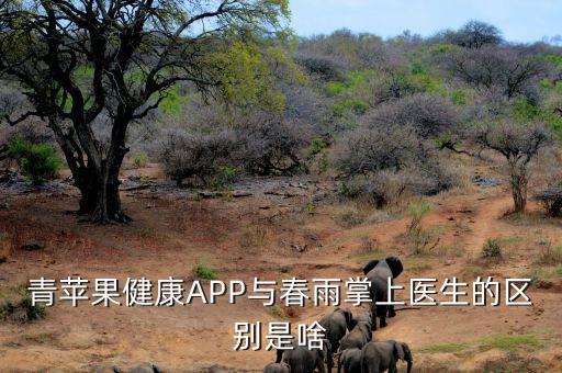 青蘋果健康APP與春雨掌上醫(yī)生的區(qū)別是啥