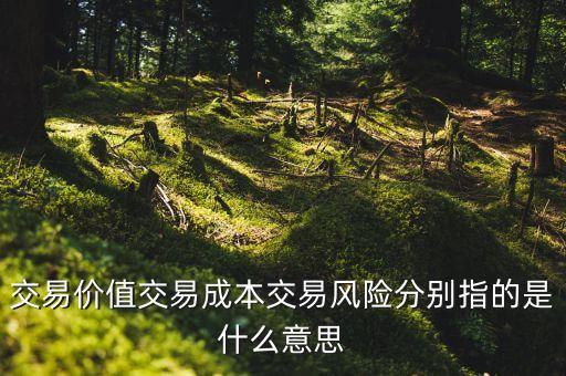 交易成本是什么，什么是交易費(fèi)用