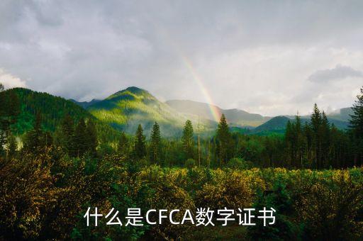 什么是CFCA數(shù)字證書