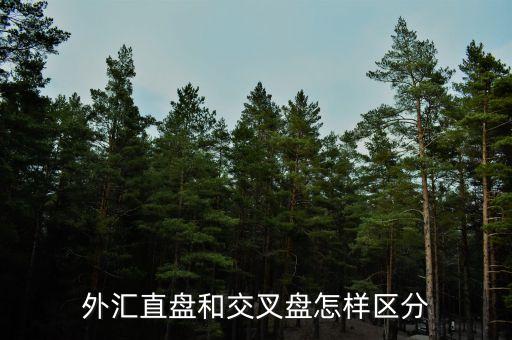 什么叫交叉盤，什么叫交叉盤hg0088誰能跟我指點一下嗎