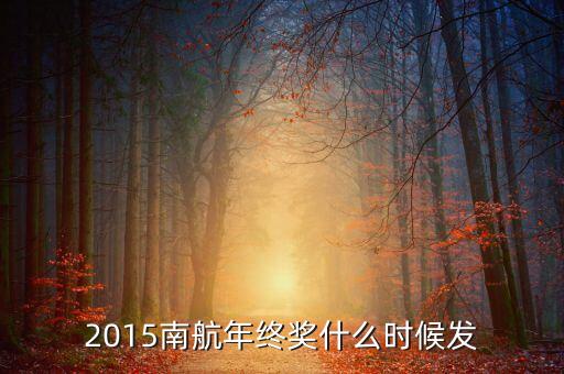 2015南航年終獎(jiǎng)什么時(shí)候發(fā)