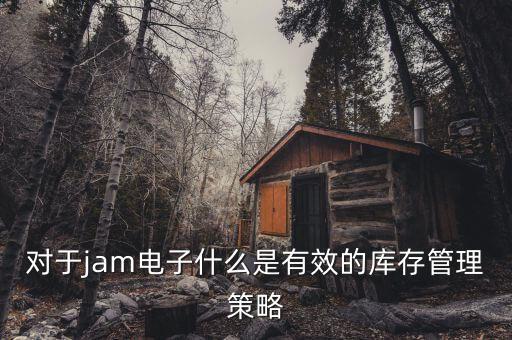 對于jam電子什么是有效的庫存管理策略