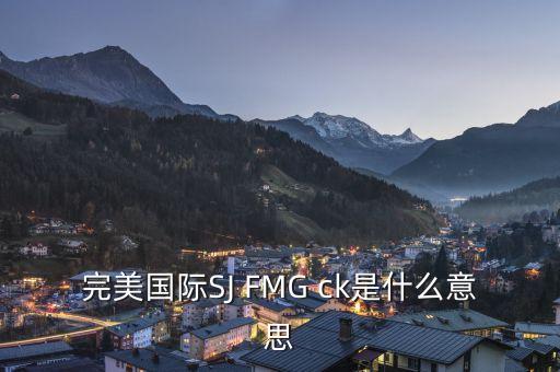 完美國際SJ FMG ck是什么意思