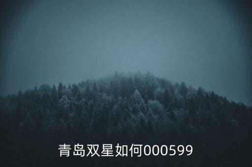 000599青島雙星集團(tuán)是什么感受，青島雙星如何000599